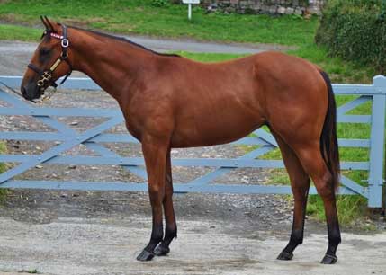 Lot 400 picture
