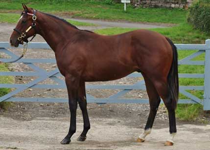 Lot 134 picture