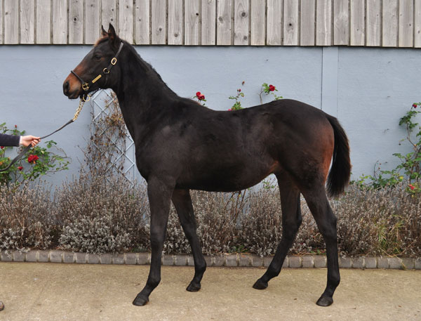lot 310