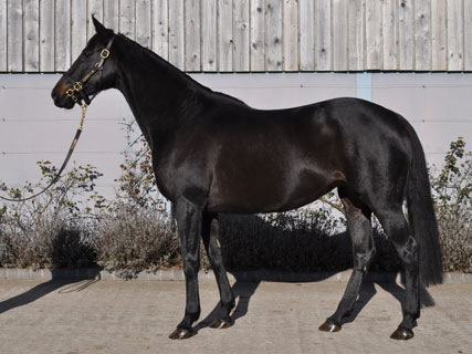 lot 248